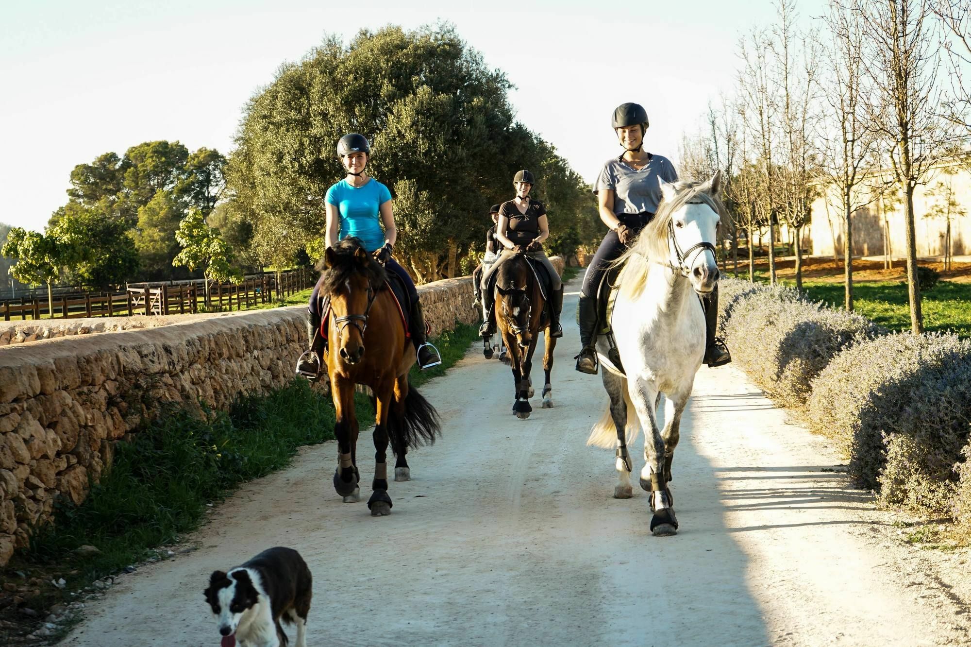 Вилла Vmg Horse Ranch (Adults Only) Льюкмайор Экстерьер фото
