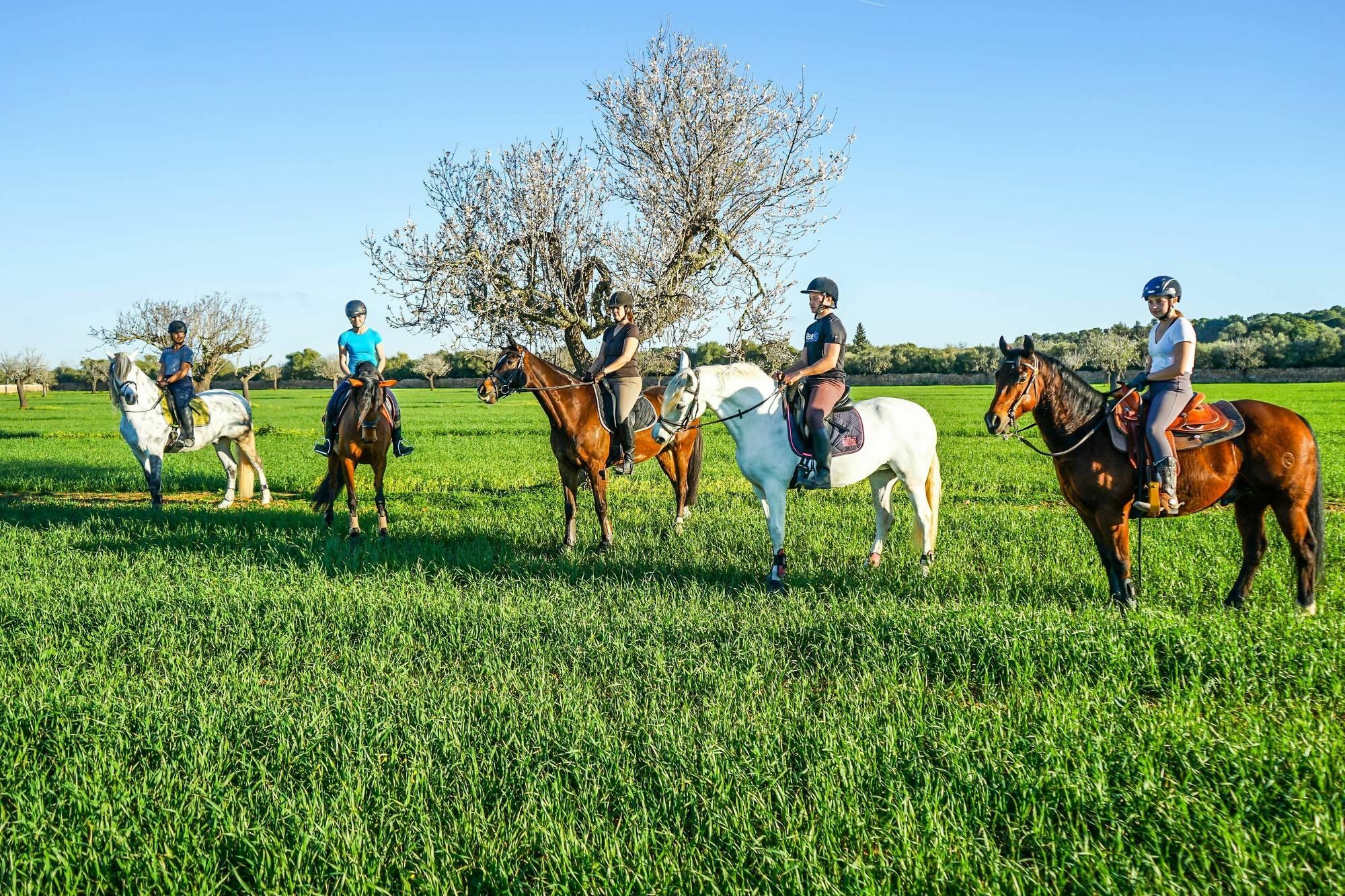 Вилла Vmg Horse Ranch (Adults Only) Льюкмайор Экстерьер фото